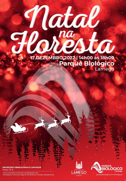 Natal na Floresta